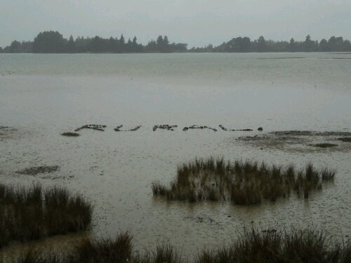 2012-02-22 13.26.17.jpg image