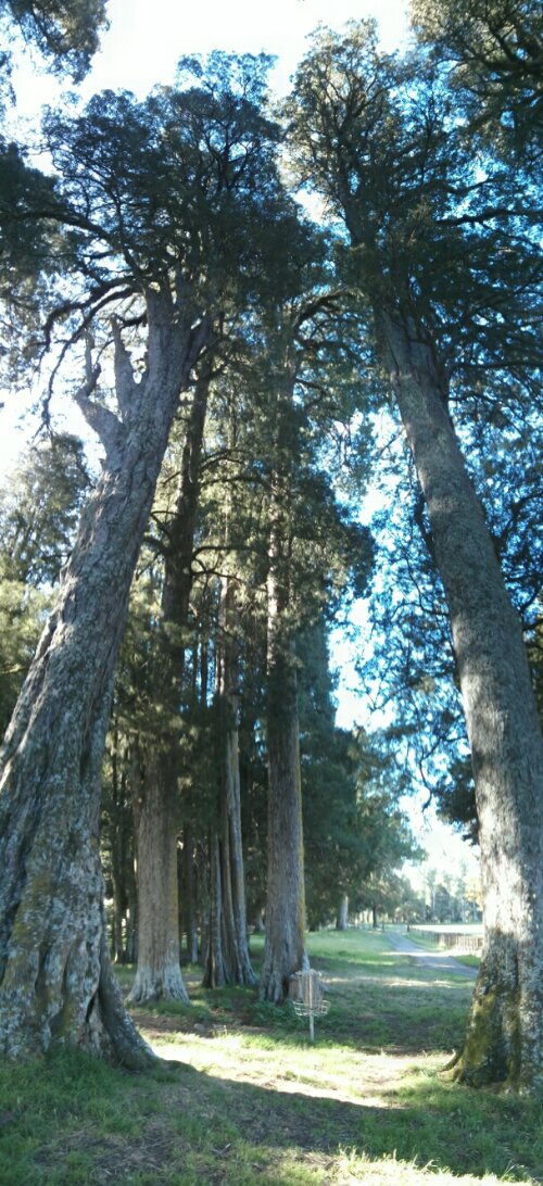 PANO_20140115_173702.jpg image