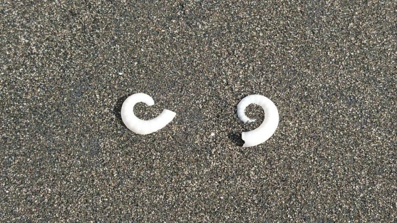 micro_mammoth_memorial